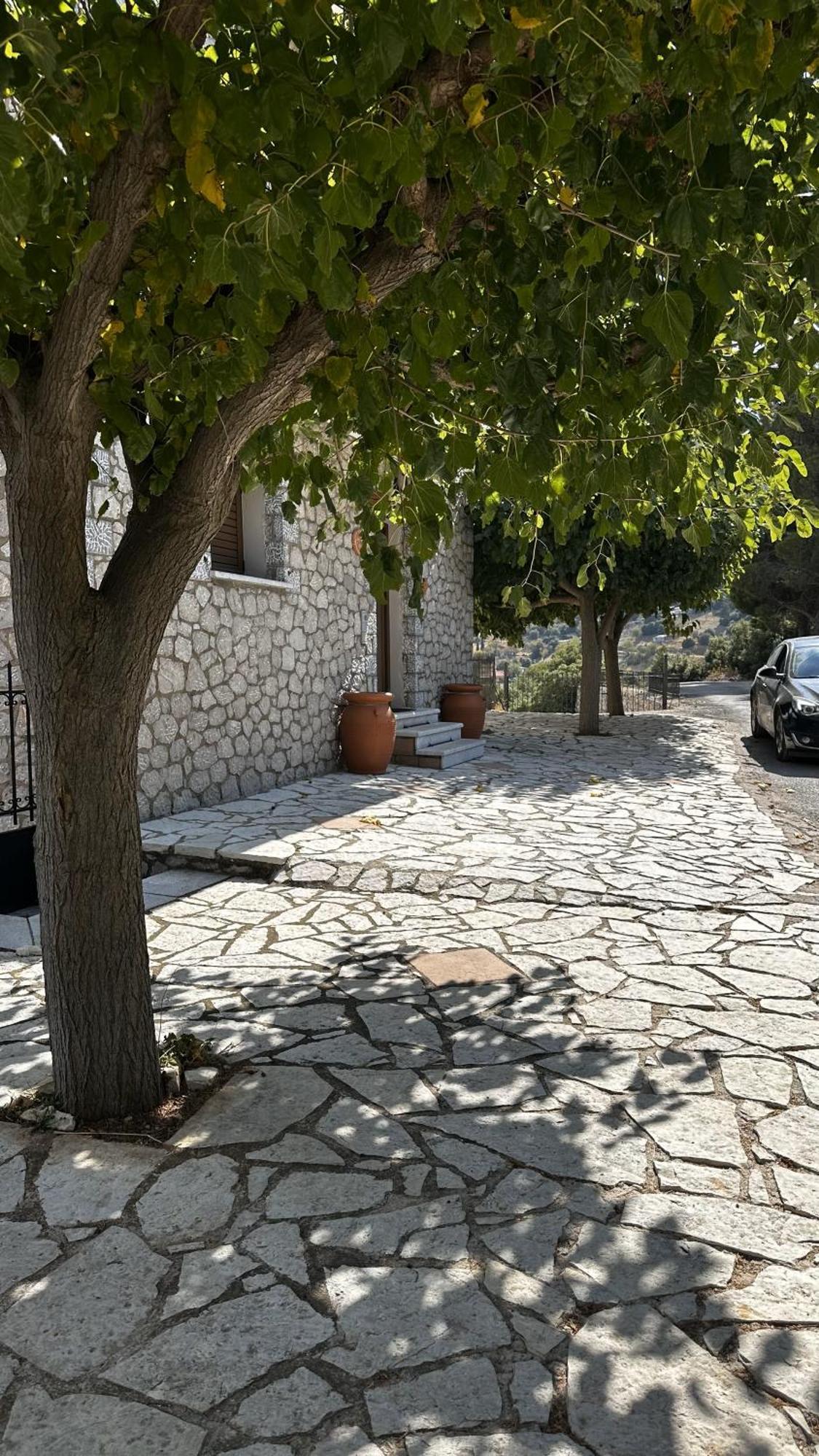 το πέτρινο *