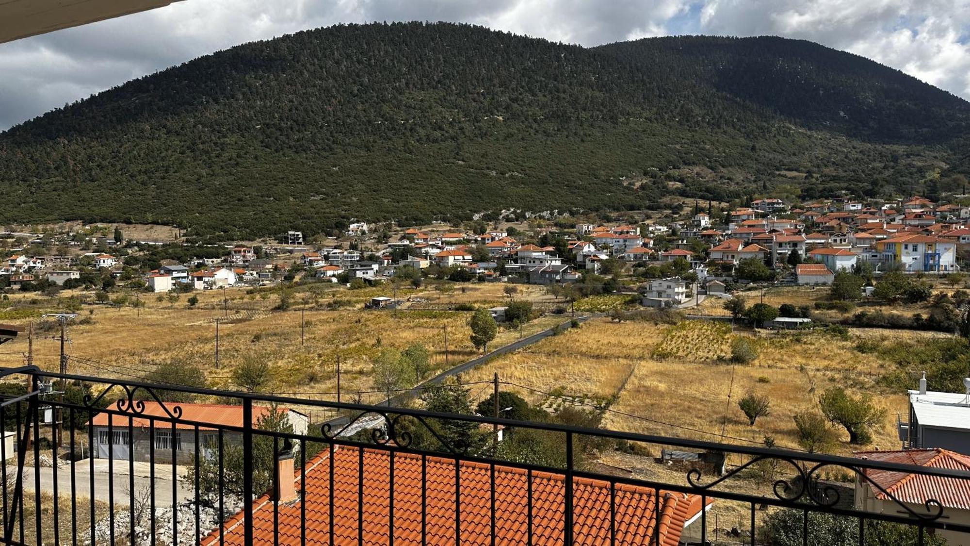 Apartment το πέτρινο Kyriaki
